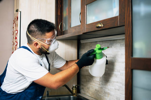 Best Affordable Pest Control Services  in Madrid, IA