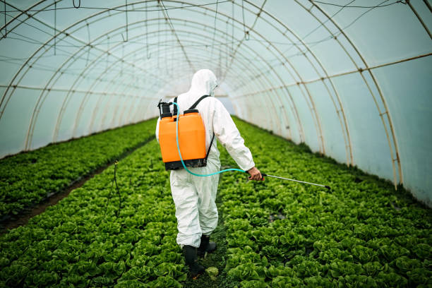 Pest Prevention Services in Madrid, IA