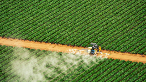 Best Mosquito Control Services  in Madrid, IA