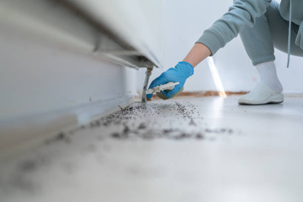 Pest Control Cost in Madrid, IA